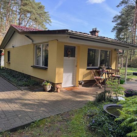 Ferienhaus Im Wald Borkwalde Exteriör bild