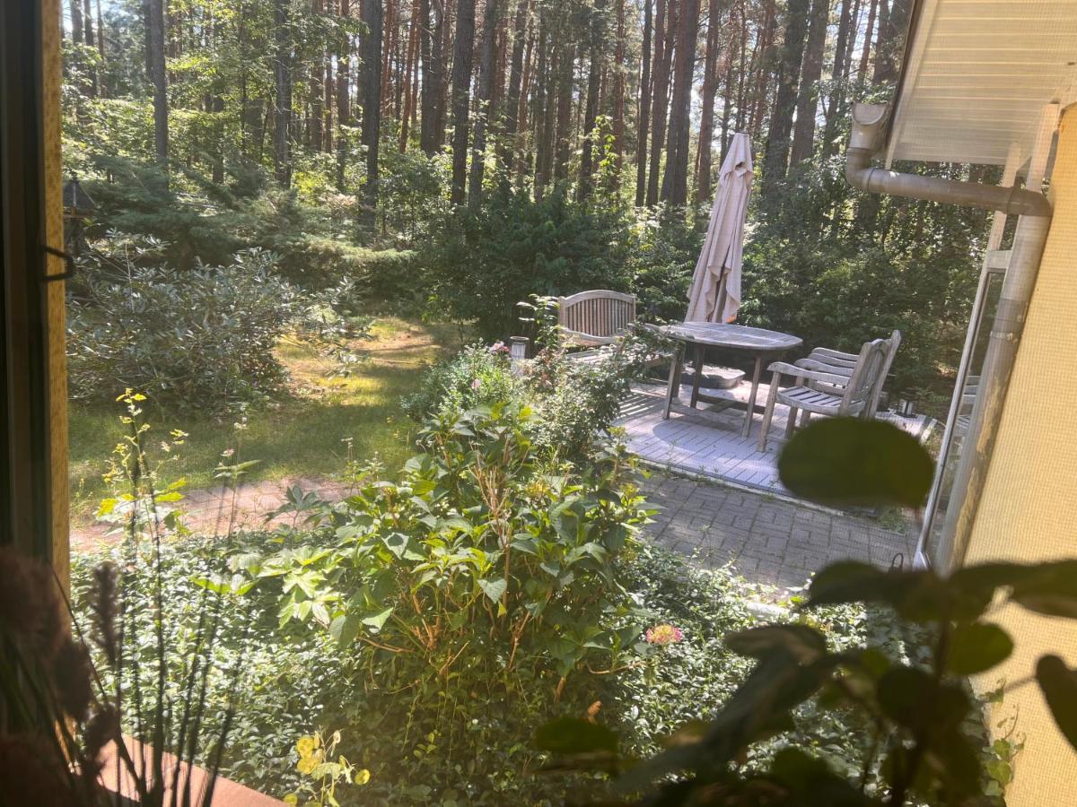 Ferienhaus Im Wald Borkwalde Exteriör bild