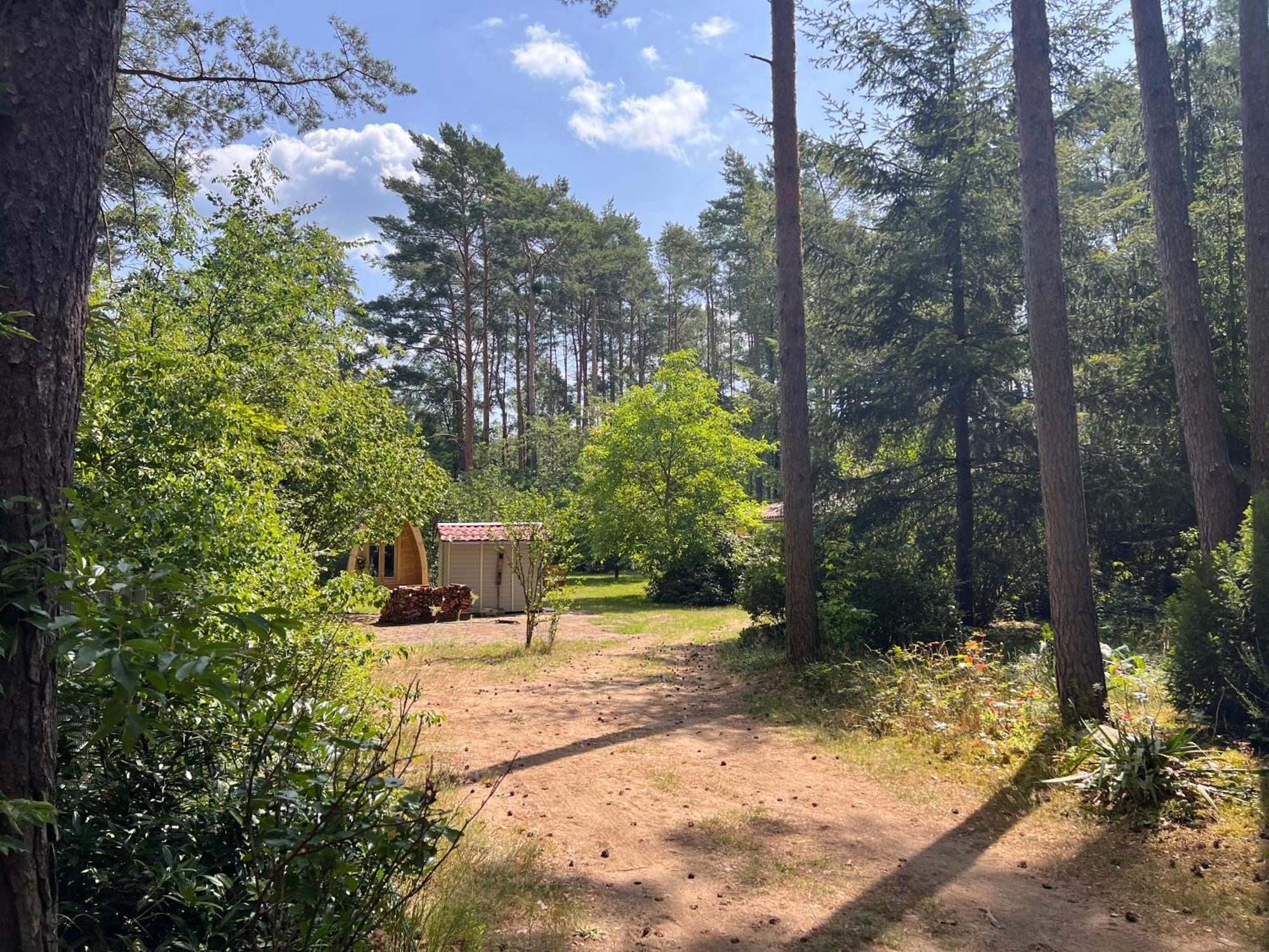 Ferienhaus Im Wald Borkwalde Exteriör bild