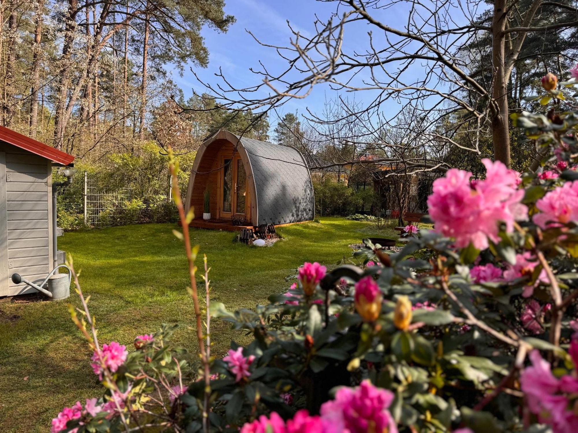 Ferienhaus Im Wald Borkwalde Exteriör bild