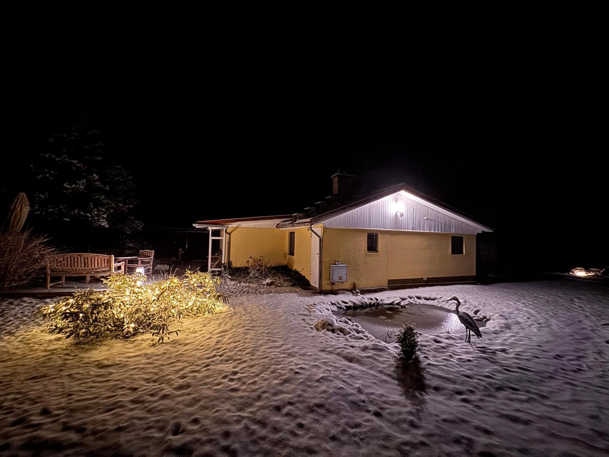 Ferienhaus Im Wald Borkwalde Exteriör bild